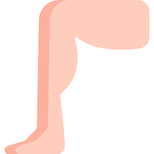 Leg
